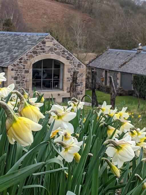 Woodmill Arches - Designer Barn Conversion For Two Daire Lindores Dış mekan fotoğraf